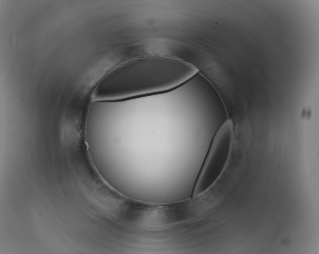 X0000112520116200908241454