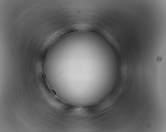 X0000112520117200908241454