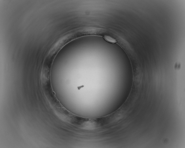 X0000112520119200908241454