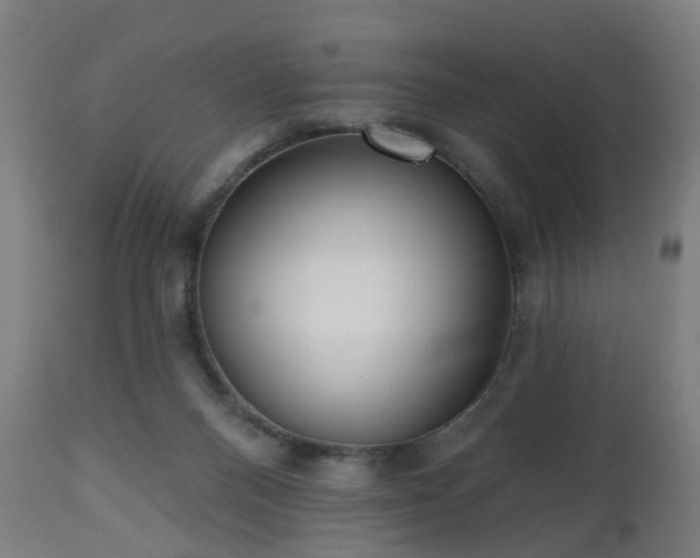X0000112520120200908241454
