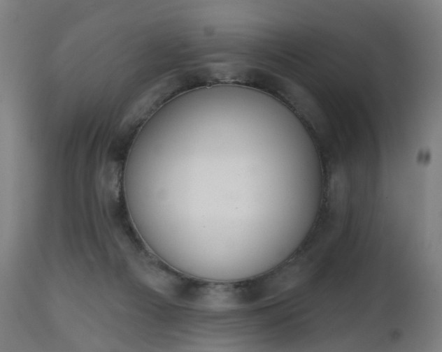 X0000112520121200908241454