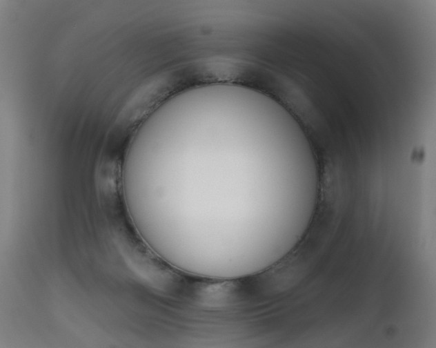 X0000112520122200908241454