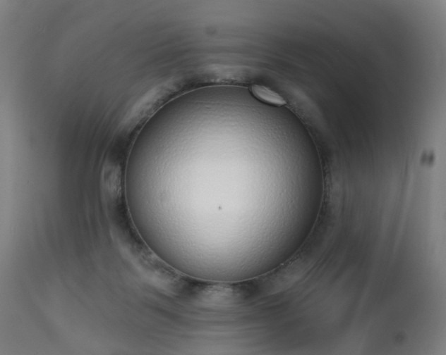 X0000112520123200908241454