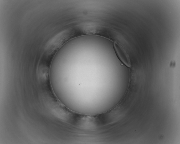 X0000112520125200908241454