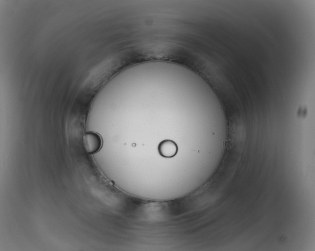 X0000112520126200908241454