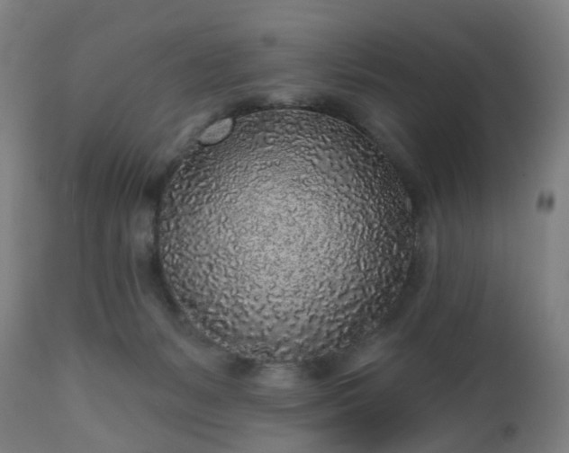 X0000112520127200908241454