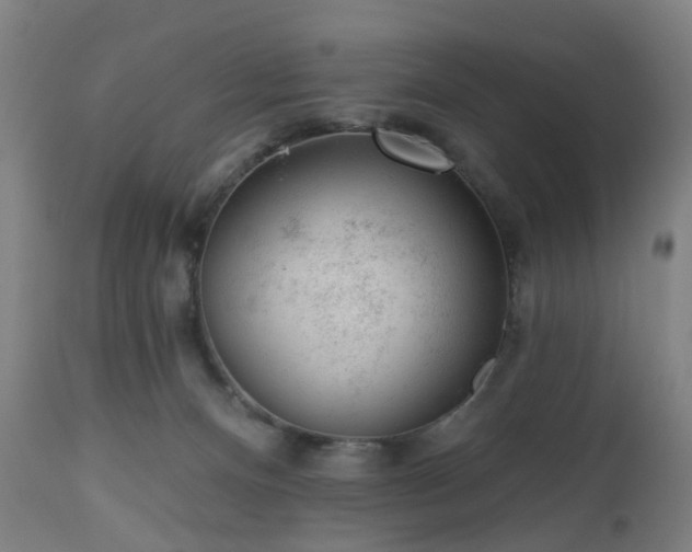 X0000112520128200908241454