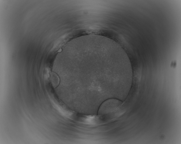 X0000112520130200908241454