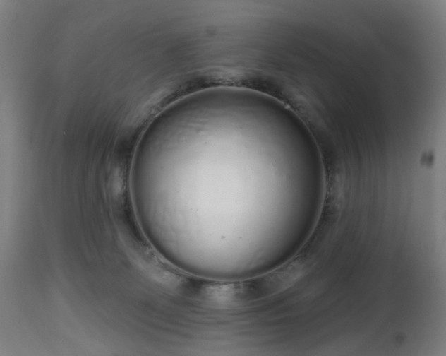 X0000112520131200908241454