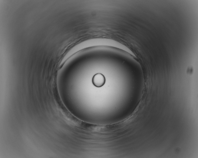 X0000112520132200908241454