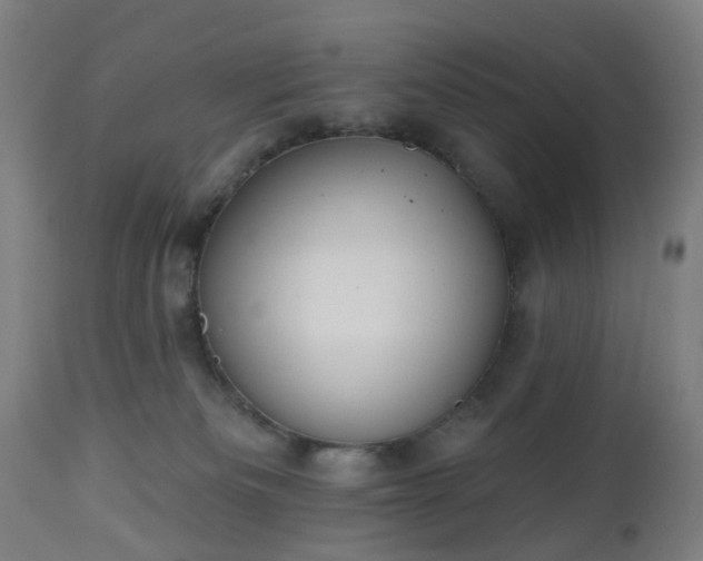 X0000112520133200908241454