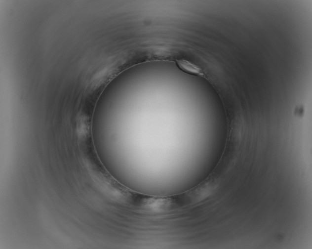 X0000112520135200908241454
