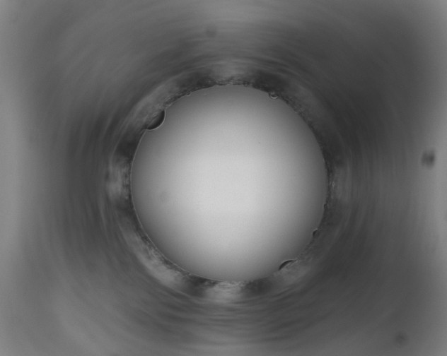X0000112520138200908241454