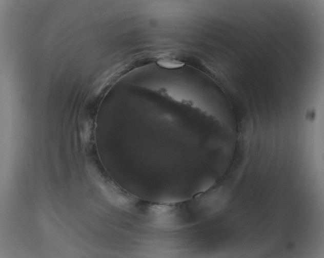 X0000112520139200908241454