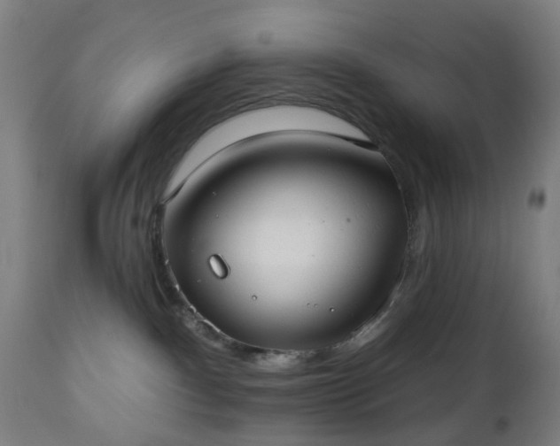 X0000112520140200908241454