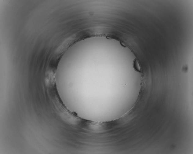 X0000112520142200908241454