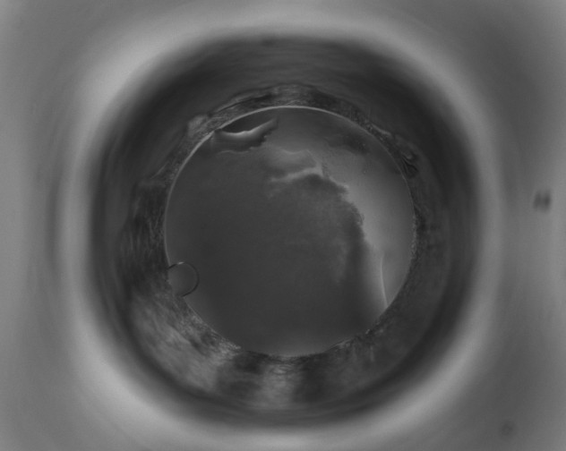 X0000112520143200908241454