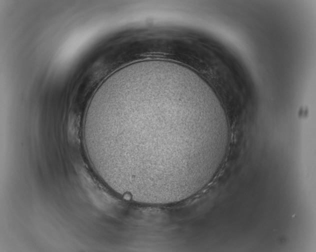X0000112520146200908241453