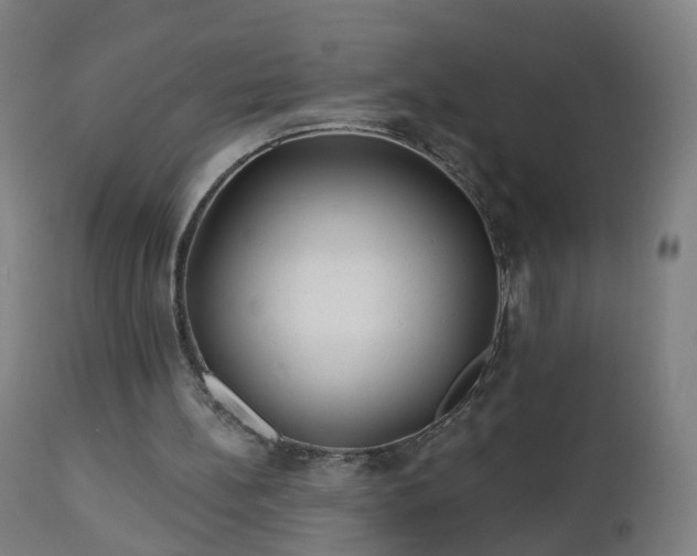 X0000112520148200908241453