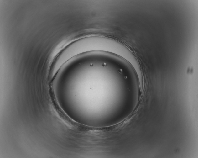 X0000112520150200908241453