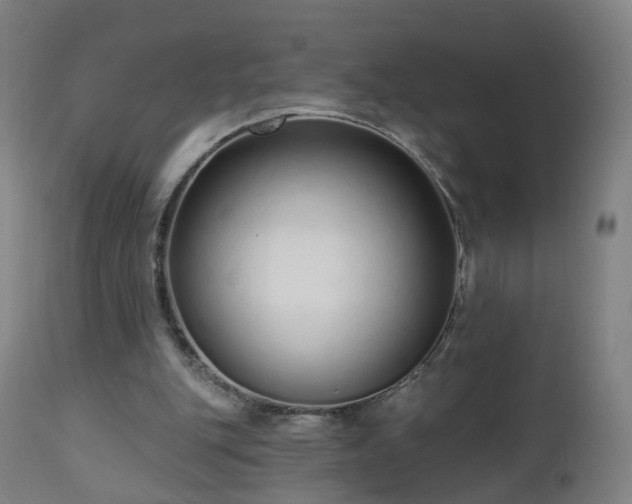 X0000112520151200908241453