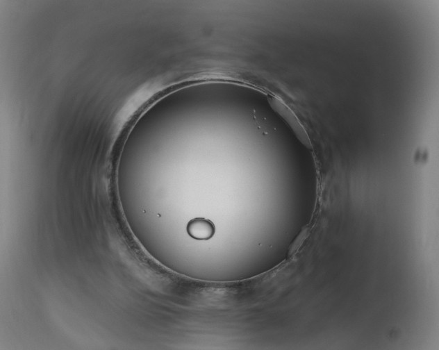 X0000112520152200908241453
