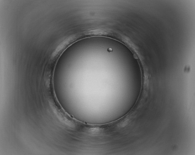 X0000112520153200908241453