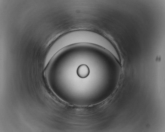 X0000112520154200908241453