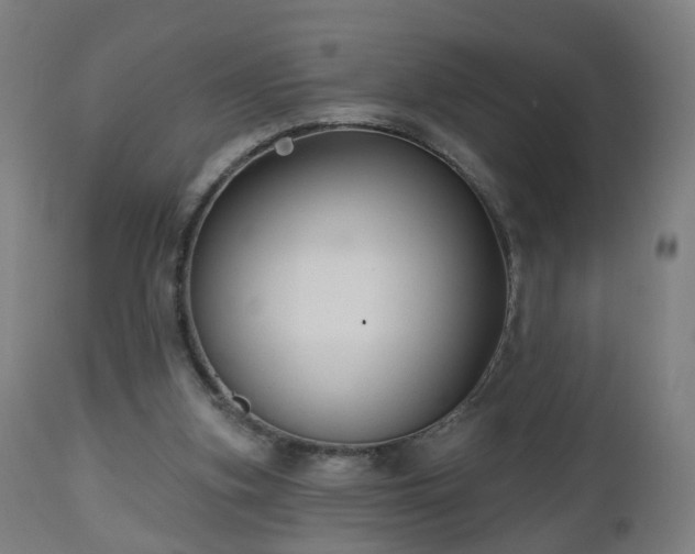 X0000112520155200908241453