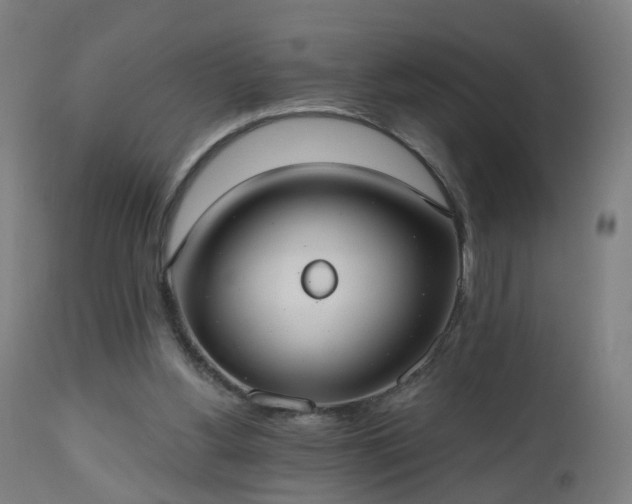 X0000112520156200908241453