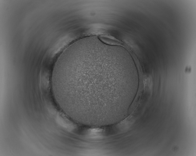 X0000112520158200908241453