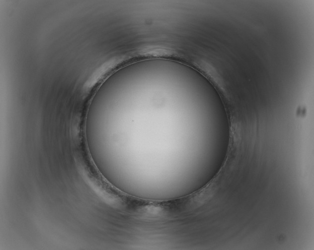 X0000112520159200908241453