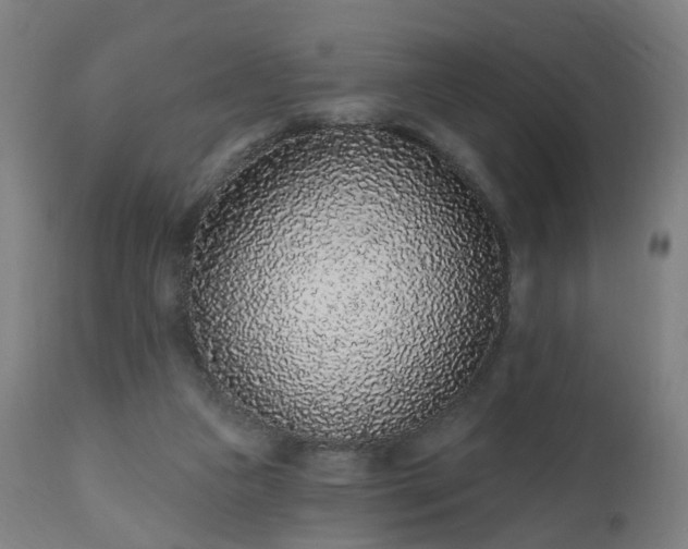 X0000112520161200908241453