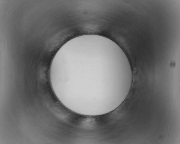 X0000112520162200908241454