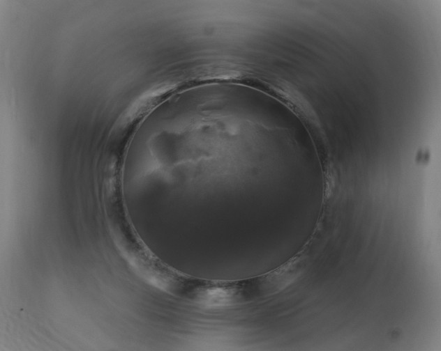 X0000112520163200908241454