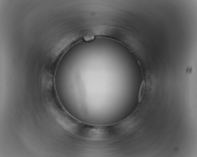 X0000112520164200908241454