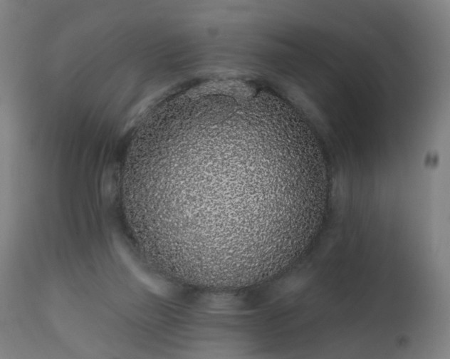 X0000112520165200908241454