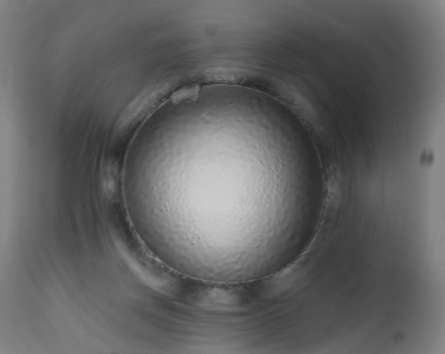 X0000112520166200908241454