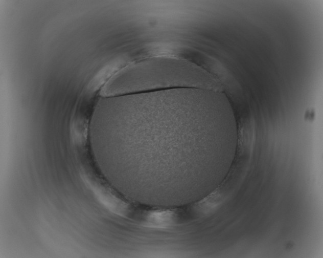 X0000112520168200908241454
