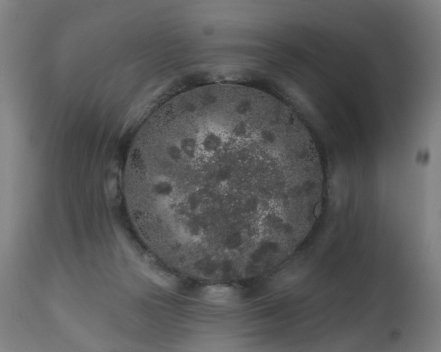 X0000112520169200908241454