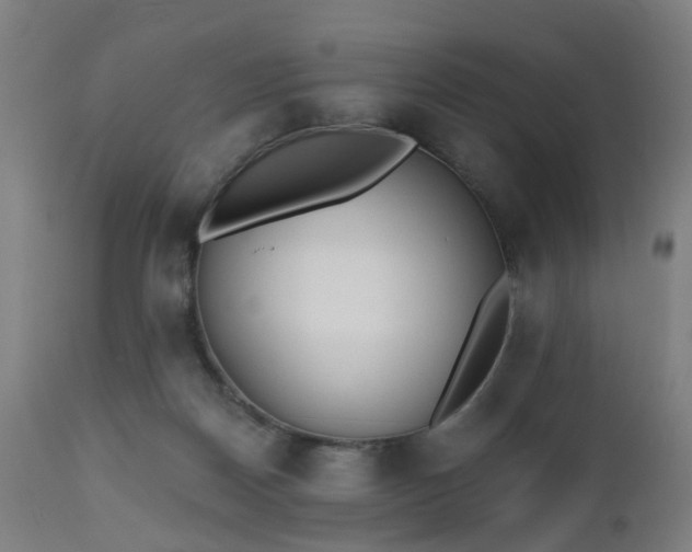 X0000112520170200908241454