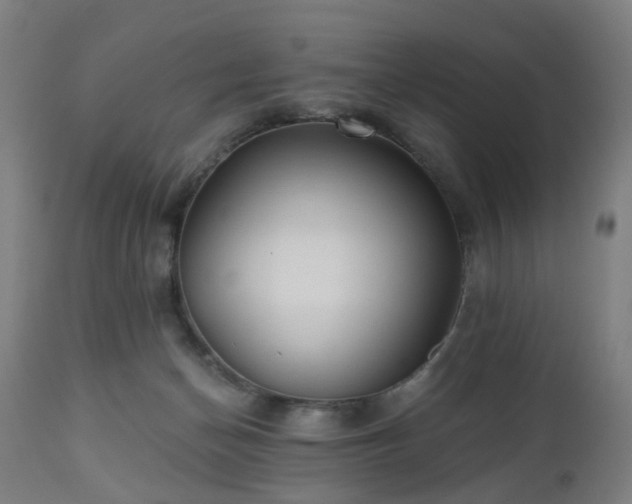 X0000112520174200908241454