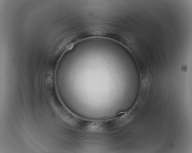 X0000112520175200908241454