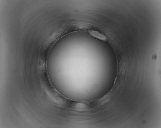 X0000112520176200908241454