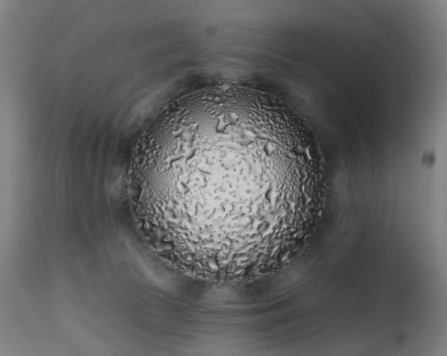 X0000112520177200908241454