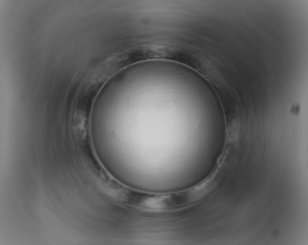 X0000112520178200908241454