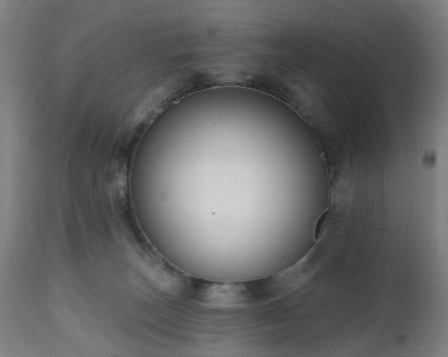 X0000112520179200908241454