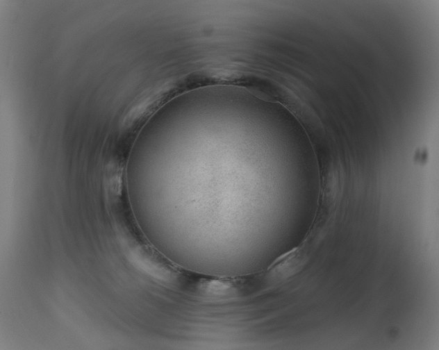 X0000112520180200908241454