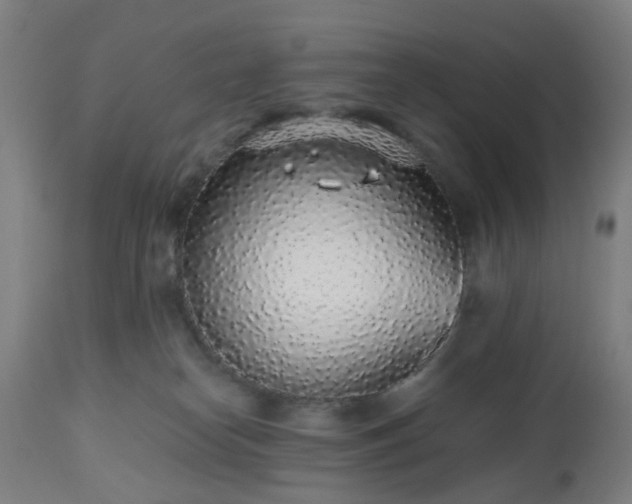 X0000112520182200908241454