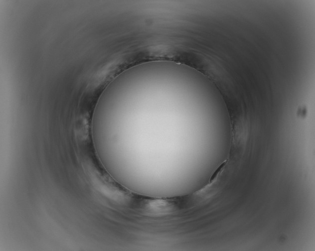 X0000112520183200908241454